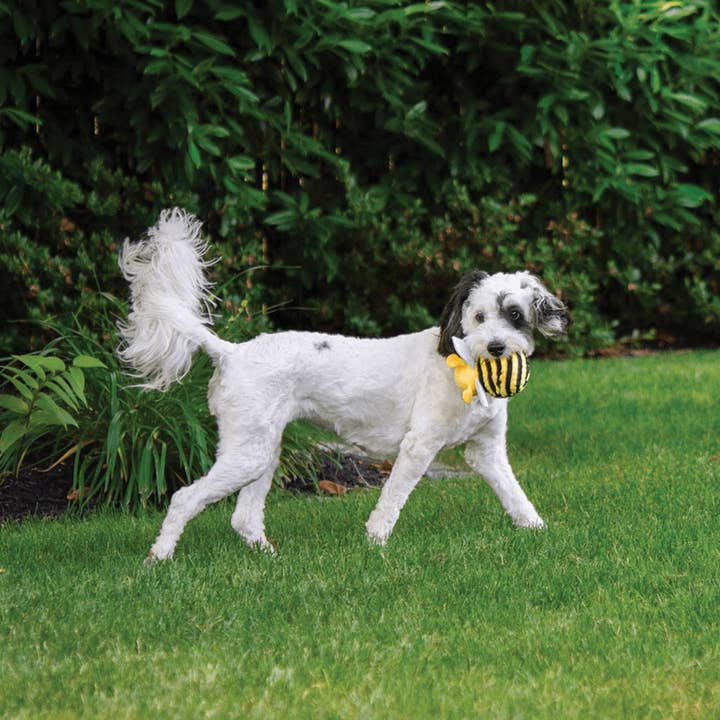 fabdog - Vendita all'ingrosso Giocattoli sonori per animali - Cani - Faball Bumble Bee2