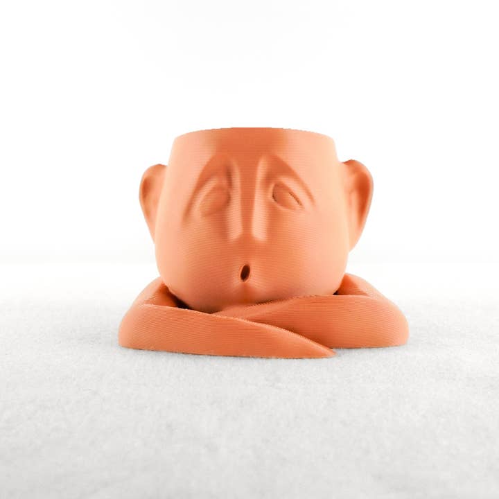 Rosebud Homegoods - Wholesale Plant Pot - Shady Air Head Planter, Moody Face Pot, Succulent Decor