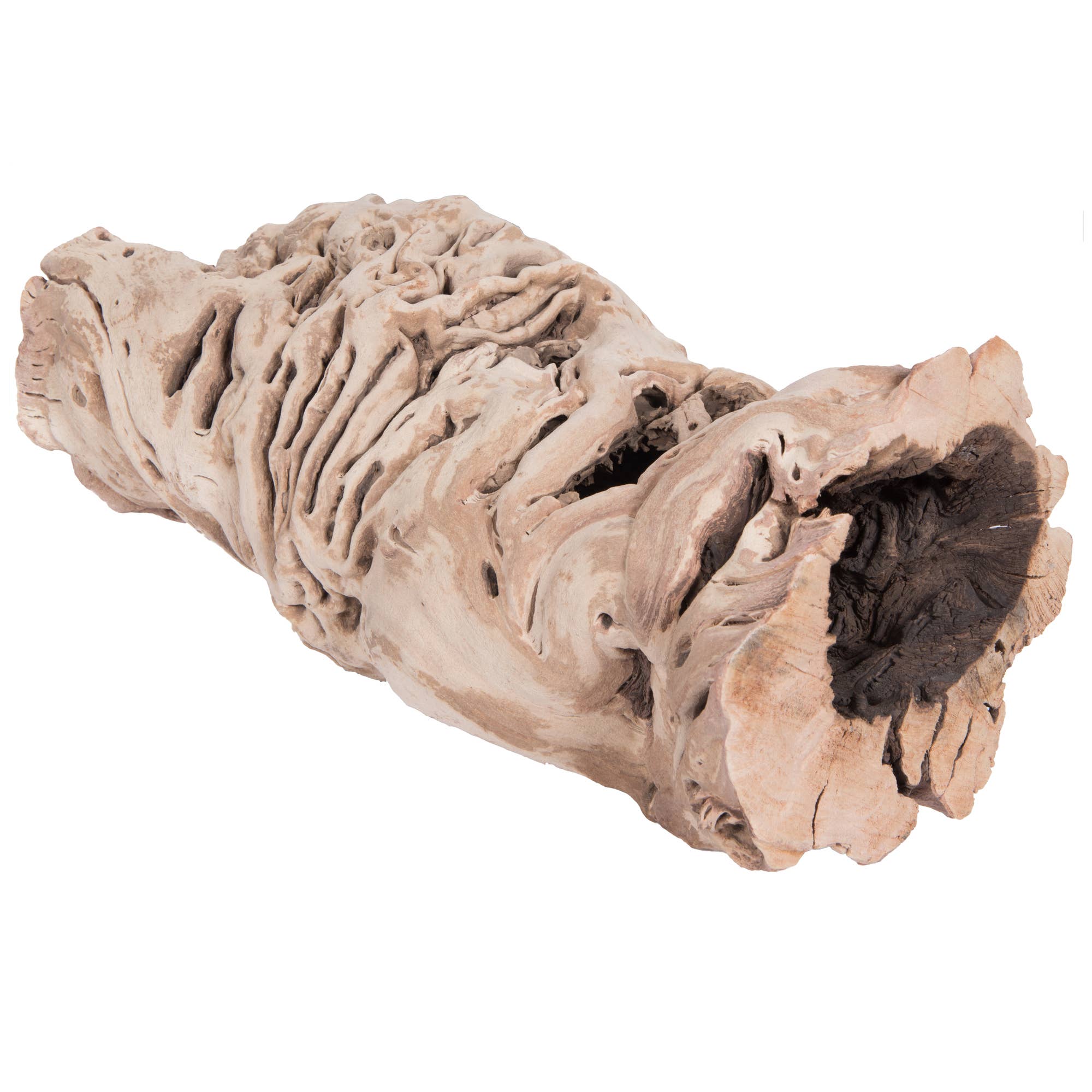 Tan Vickerman 12-14" Grapewood Urns Sand Blasted, Dried for wholesale on Faire1