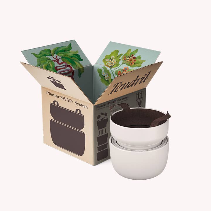 Cream Tendril Planter with Self-Watering SWAP+ System for wholesale on Faire