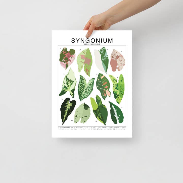 Beehive 95 Designs - Wholesale Art Print - Syngonium Species ID Chart - Botanical Houseplant Art Print2