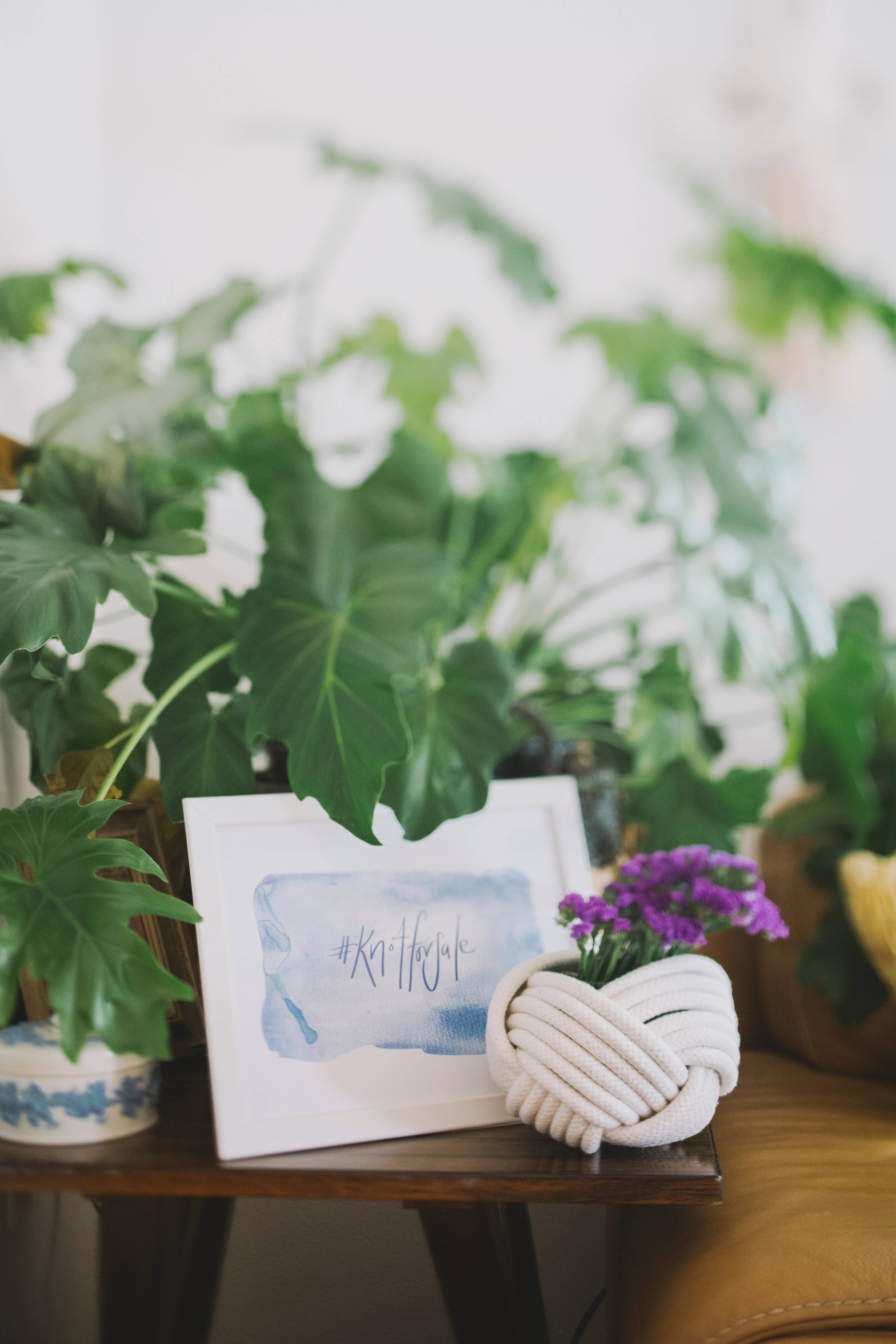 Freeleaf - Wholesale Plant Pot - Unbound Planter6