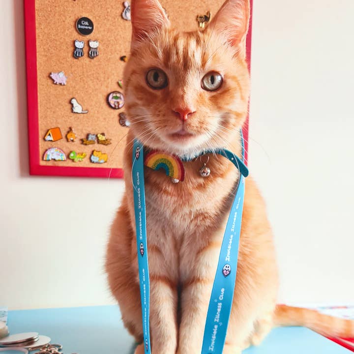 Innabox Ltd – wholesale Lanyard – Unisex – Invisible Illness Club Lanyard8