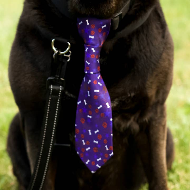 Patriotic Paws Haustierkrawatte, die am Kragen befestigt werden kann für den Großhandel von Top Rocks Doggie Wear