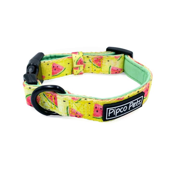 Pipco Pets - Wholesale Pet Harness - Dog - 4-Piece Walkies Bundle: Summer Melons