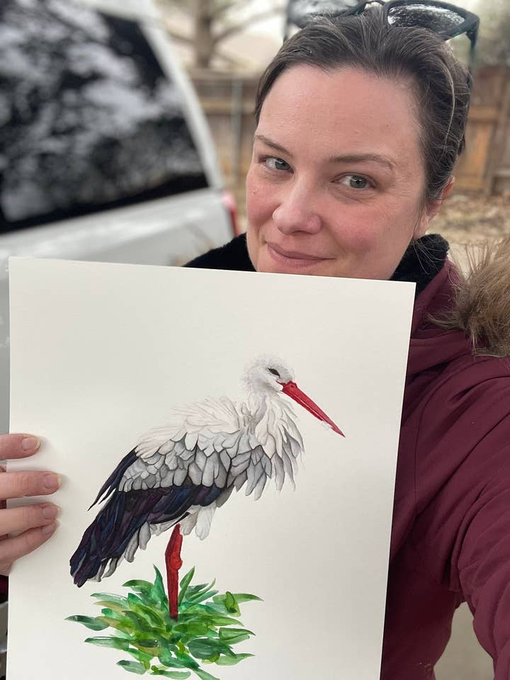 White Stork - Giclee Print for wholesale by Bird Art by KB