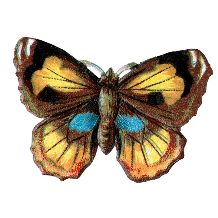 Laughing Elephant - Wholesale Sticker - Butterfly Box - Everyday Sticker Box29