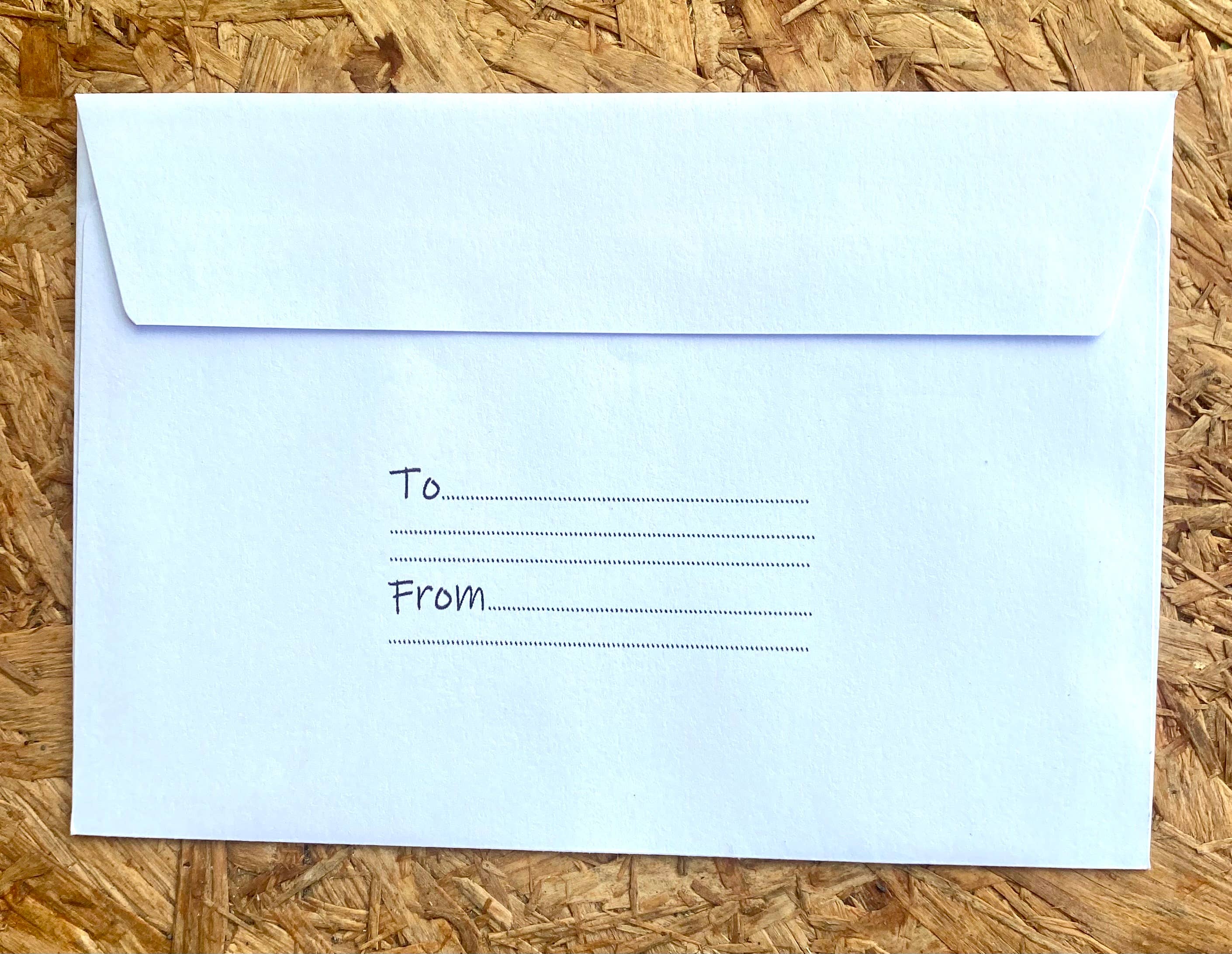 Our Little Seed Company - Wholesale Plant seeds - Wildflower Seed Envelope - Sunflower Friendship (pack of 6)3