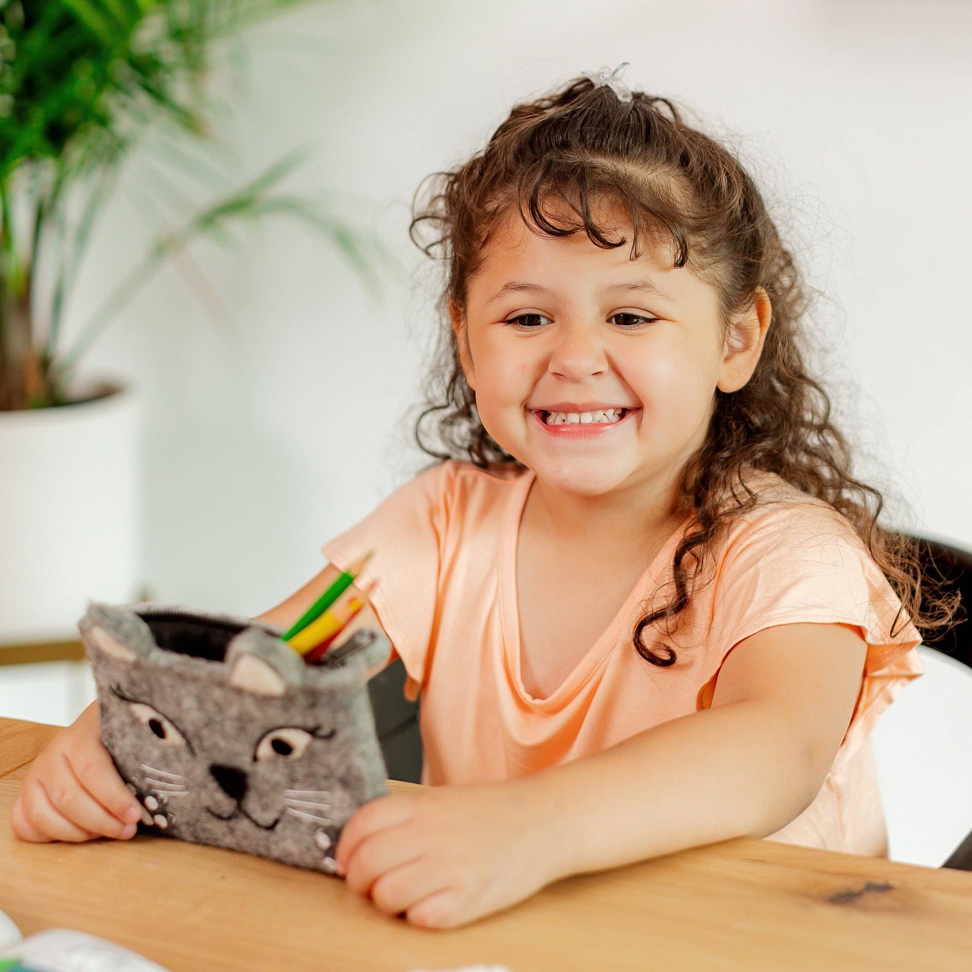 OmaOmaOma! Montessori Educational Wooden Toys for Kids - Wholesale Pencil Case/Pouch - Felt Animal Zipper Pouches - Cat, Dog, Fox Bag Set Ages 3+4