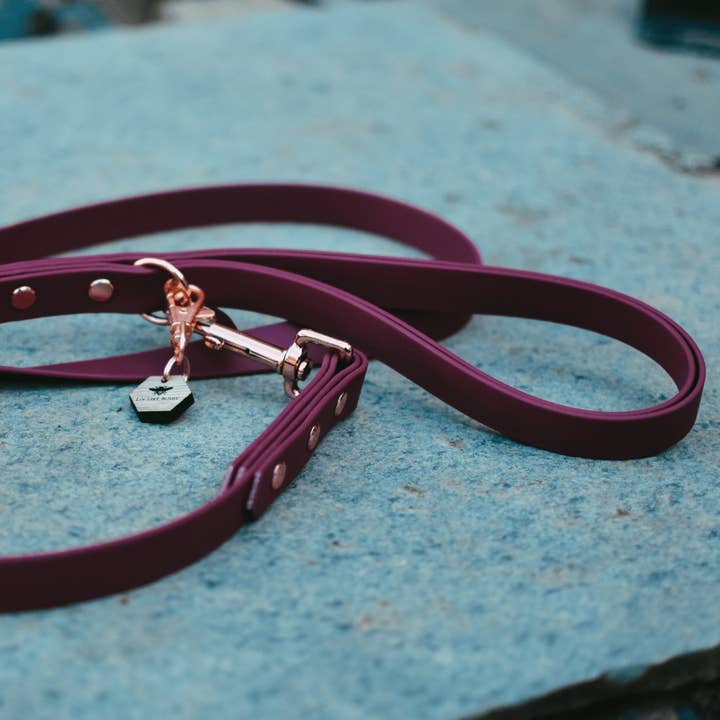 Signature Biothane Dog Leads for wholesale by Liv Like Busby