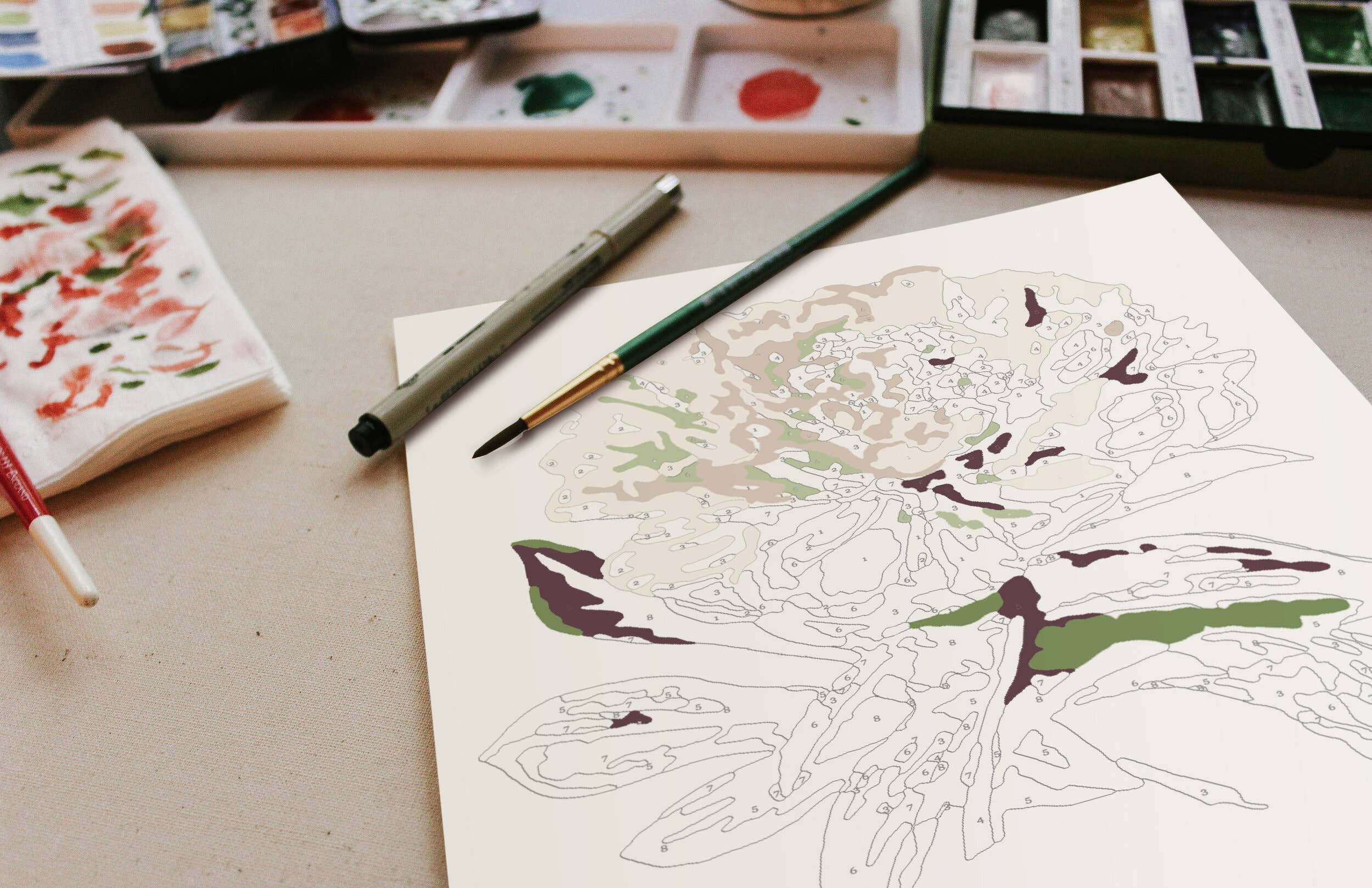 Cate Paper Co. – Großhandel Bastelset – Peony Blossoms Malen nach Zahlen Set2