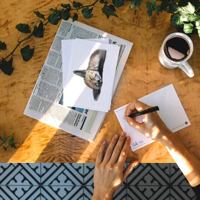 Postcard - Felix for wholesale by Charlotte Nicolin