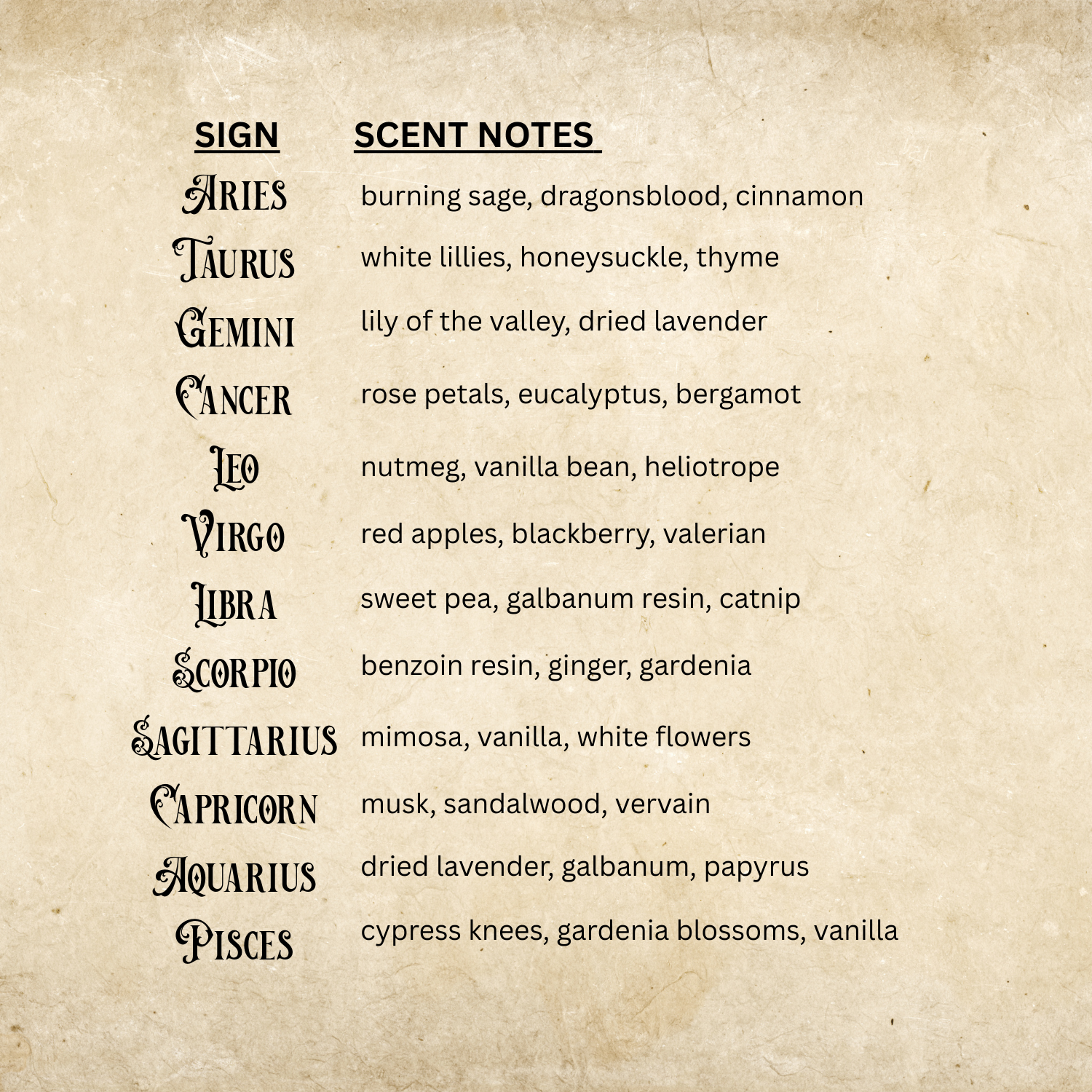 Blackwater Apothecary - Wholesale Incense - Zodiac Collection - Hand Dipped Incense Cones - Tin 1