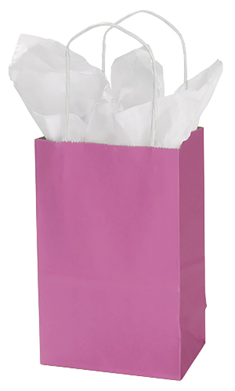 Store Supply Warehouse - Wholesale Gift Bag - Colorful Kraft Paper Shopping Bags3