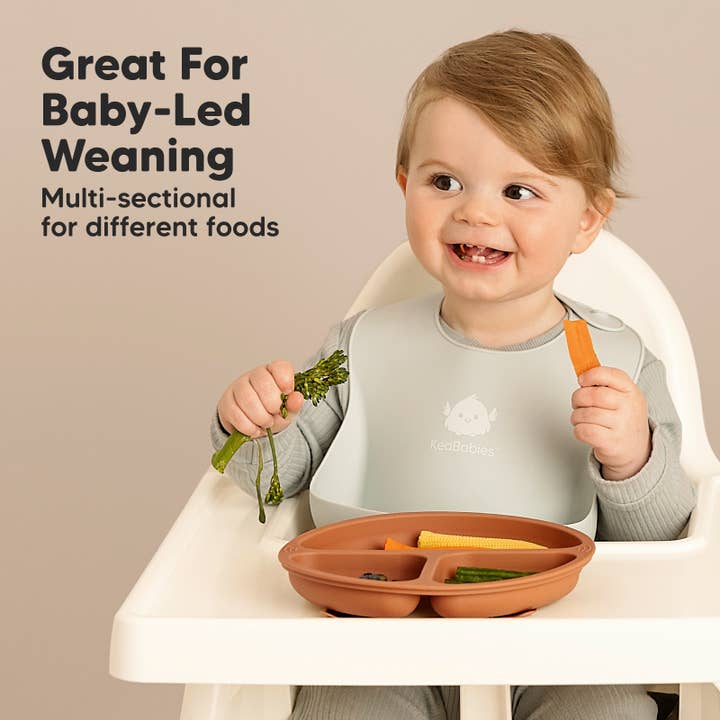 Terre cuite Paquet de 3 ventouses Prep avec couvercles, assiette pour bébé sans BPA en vente sur Faire7