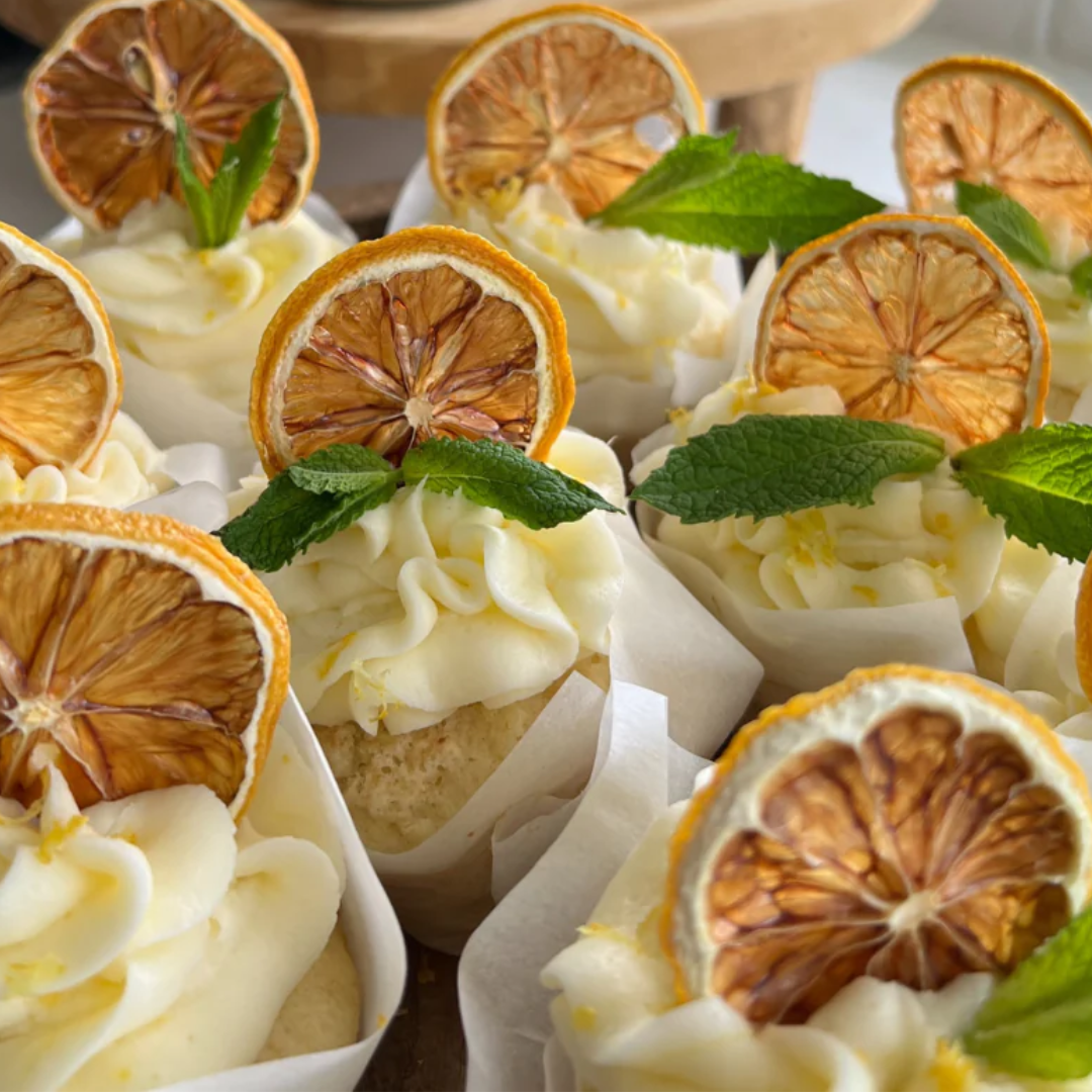 Drink Botanicals Ireland - Wholesale Dried/dehydrated fruit - Dehydrated Dried Lemon Slices5