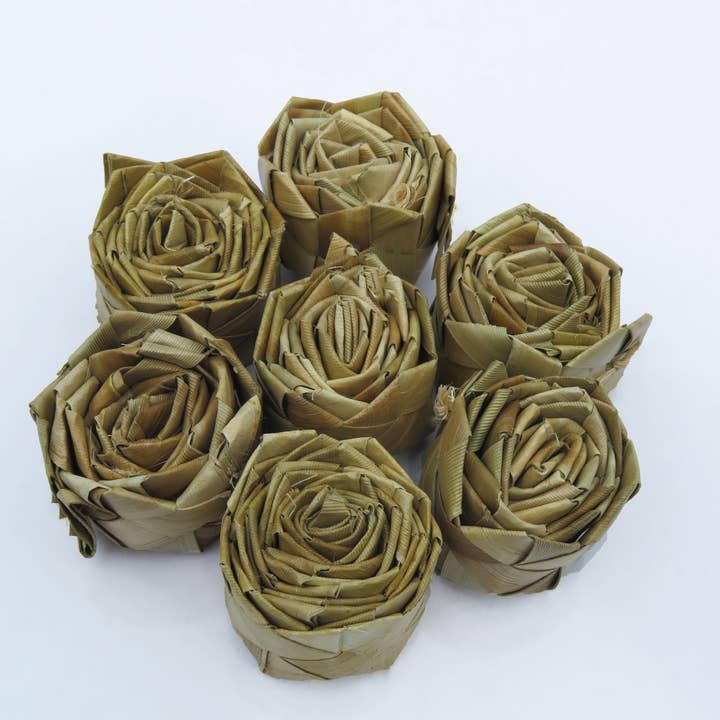 No Furries Delights - Wholesale Pet toy – Not cat/dog - BULK 1.5" Palm Rose2