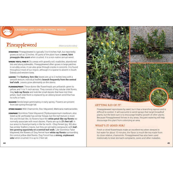 AdventureKEEN - Wholesale Book - Adult - Common Backyard Weeds of the Upper Midwest