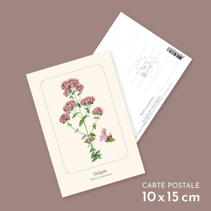Oregano - Postcard for wholesale by Longue-vue