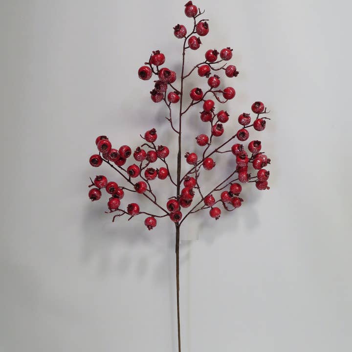 29" Bessentak met IJs Sneeuw voor wholesale door Lucknow Southern and Company