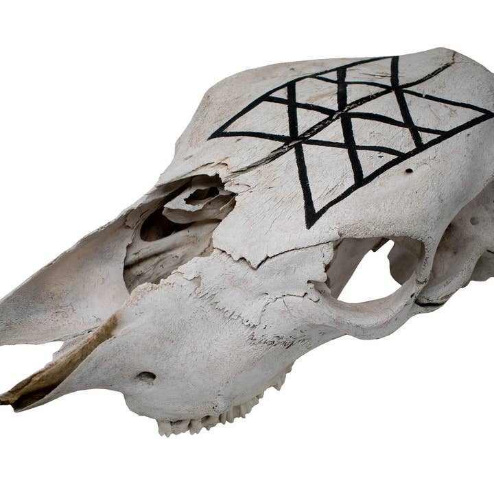 Koe Schedel – Web van Wyrd voor wholesale door Oreamnos Oddities