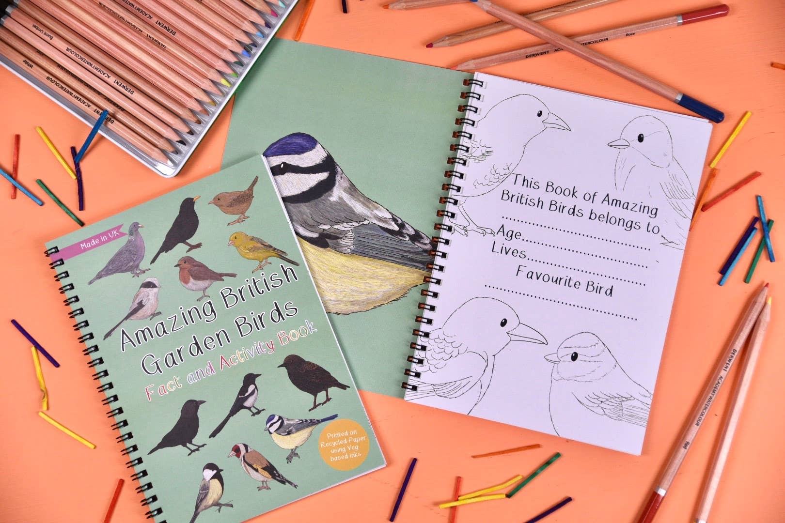 Button & Squirt – wholesale Colouring and activity book – kids and baby – Amazing British Garden Birds Fact and Activity Book 1