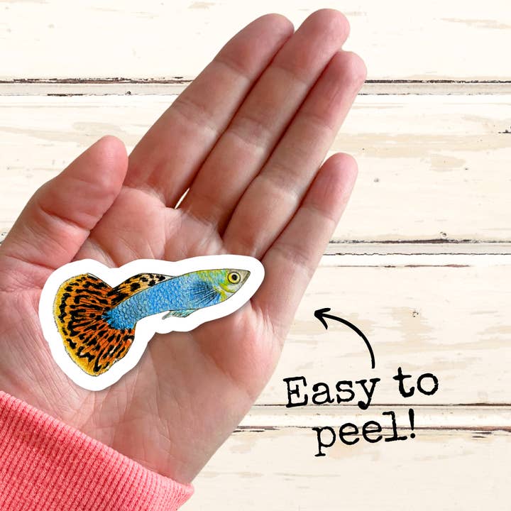 Fins and Frags - Wholesale Sticker - Handmade Guppy Sticker, for Fish & Aquarium Lovers 5