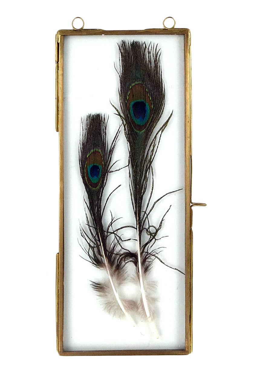 Vagabond Vintage - Wholesale Picture Frame - BRASS FRAME WITH HANGING LOOPS 4" X 10"2