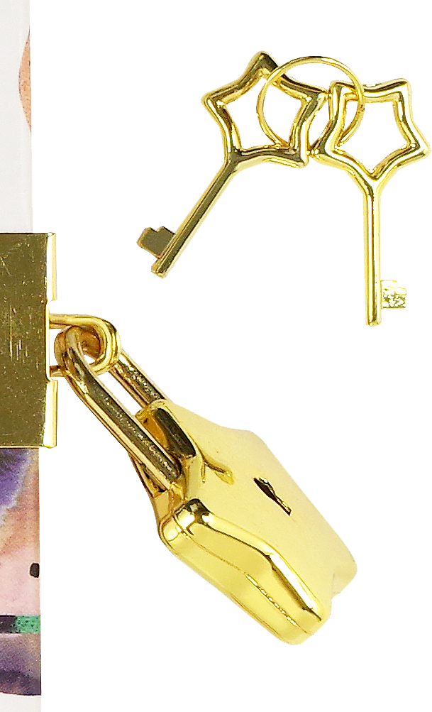 Peter Pauper Press - Wholesale Journal/Diary - Space Locking Journal2