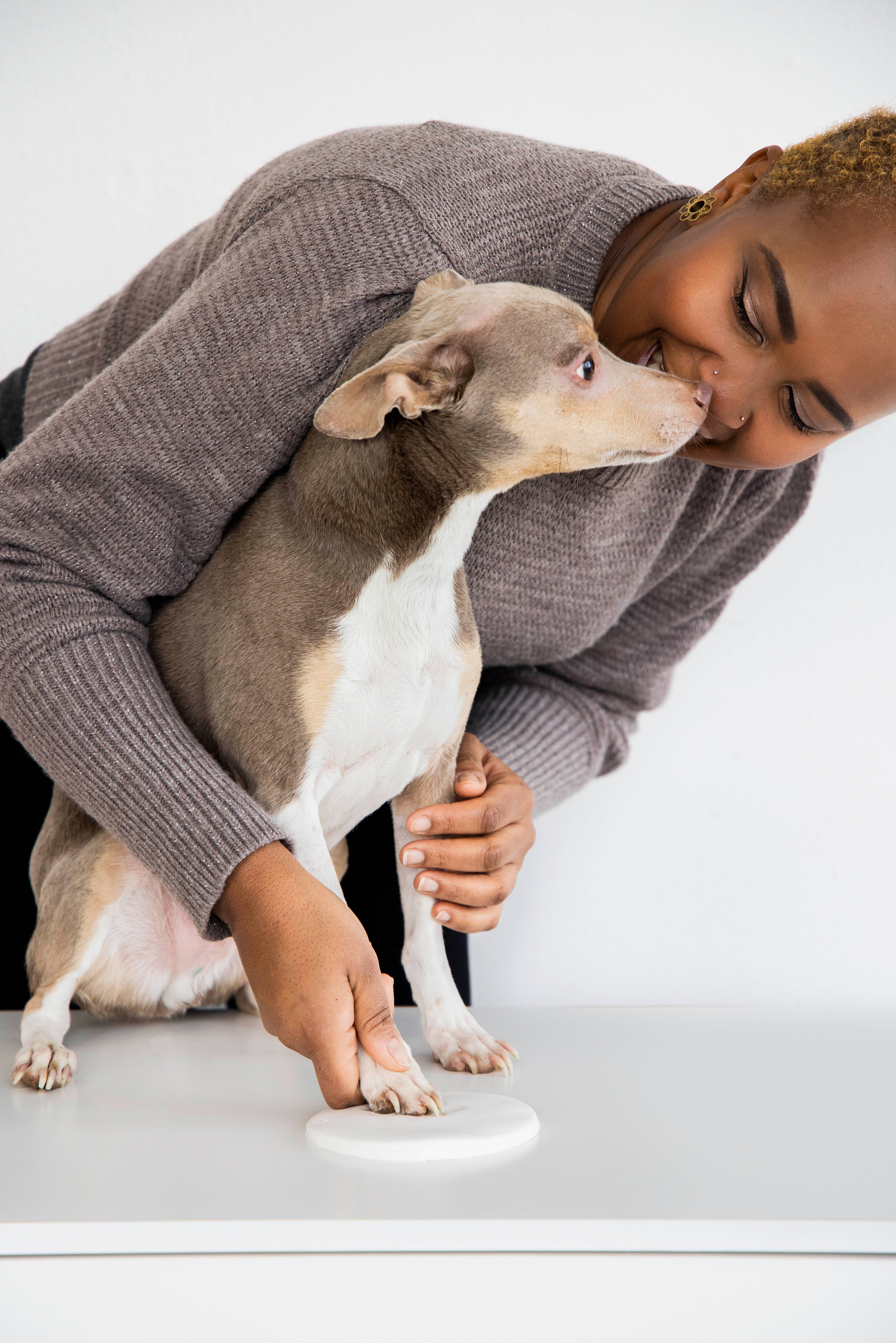 Pearhead - Wholesale Ornament - Pet Pawprints Keepsake Ornament Kit, Christmas Pet Gift9