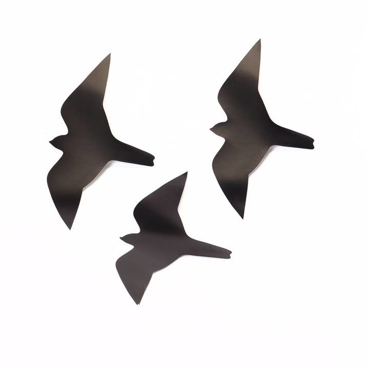 Birds Choice - Wholesale Wall Decal/Stickers - Bird Saver Sparrow Hawk Window Decal