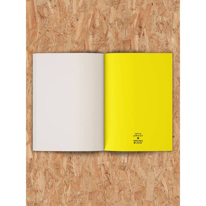 David Shrigley x Brainbox Candy - Wholesale Sketchbook/sketchpad - Funny Gift - Terrible Artwork Sketchbook by David Shrigley3