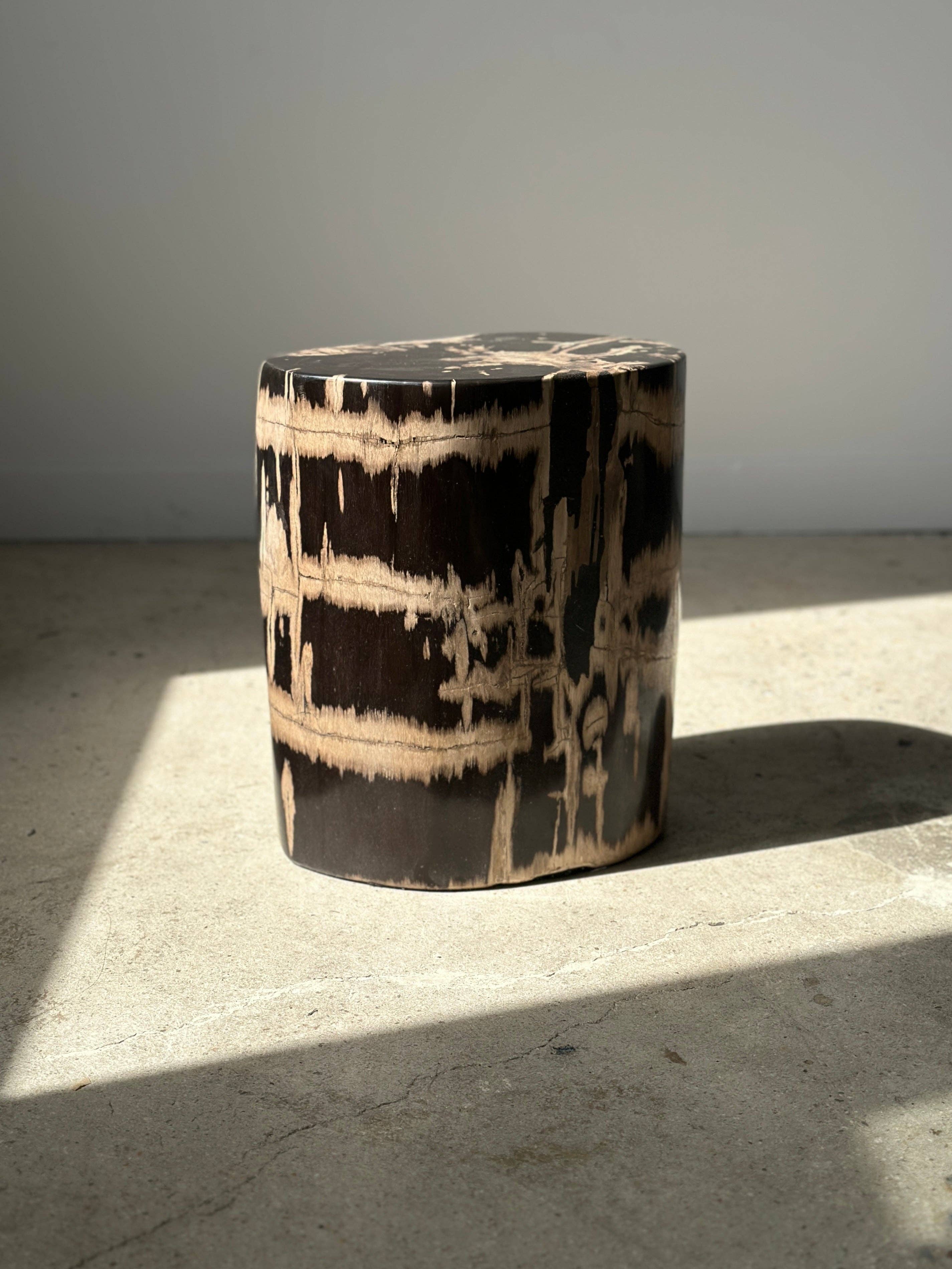 Office Objets - Vente Tables d'appoint - Table d'appoint en bois pétrifié22