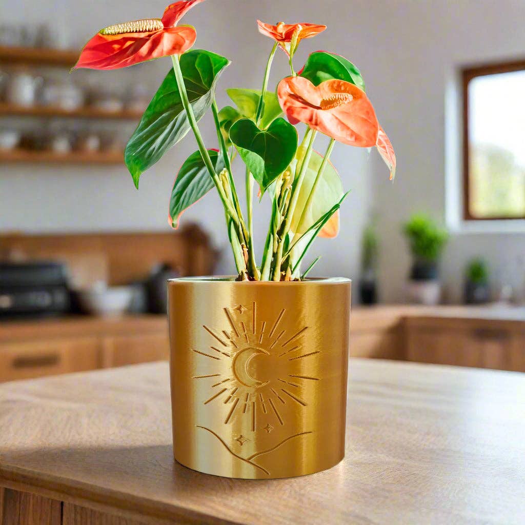 Rosebud Homegoods - Vendita all'ingrosso Vasi per piante - Vaso Moon1