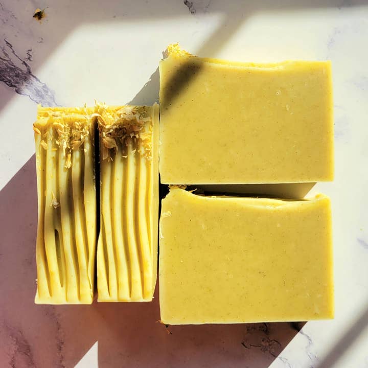 Tulsi for engroshandel hos Citrus Tree