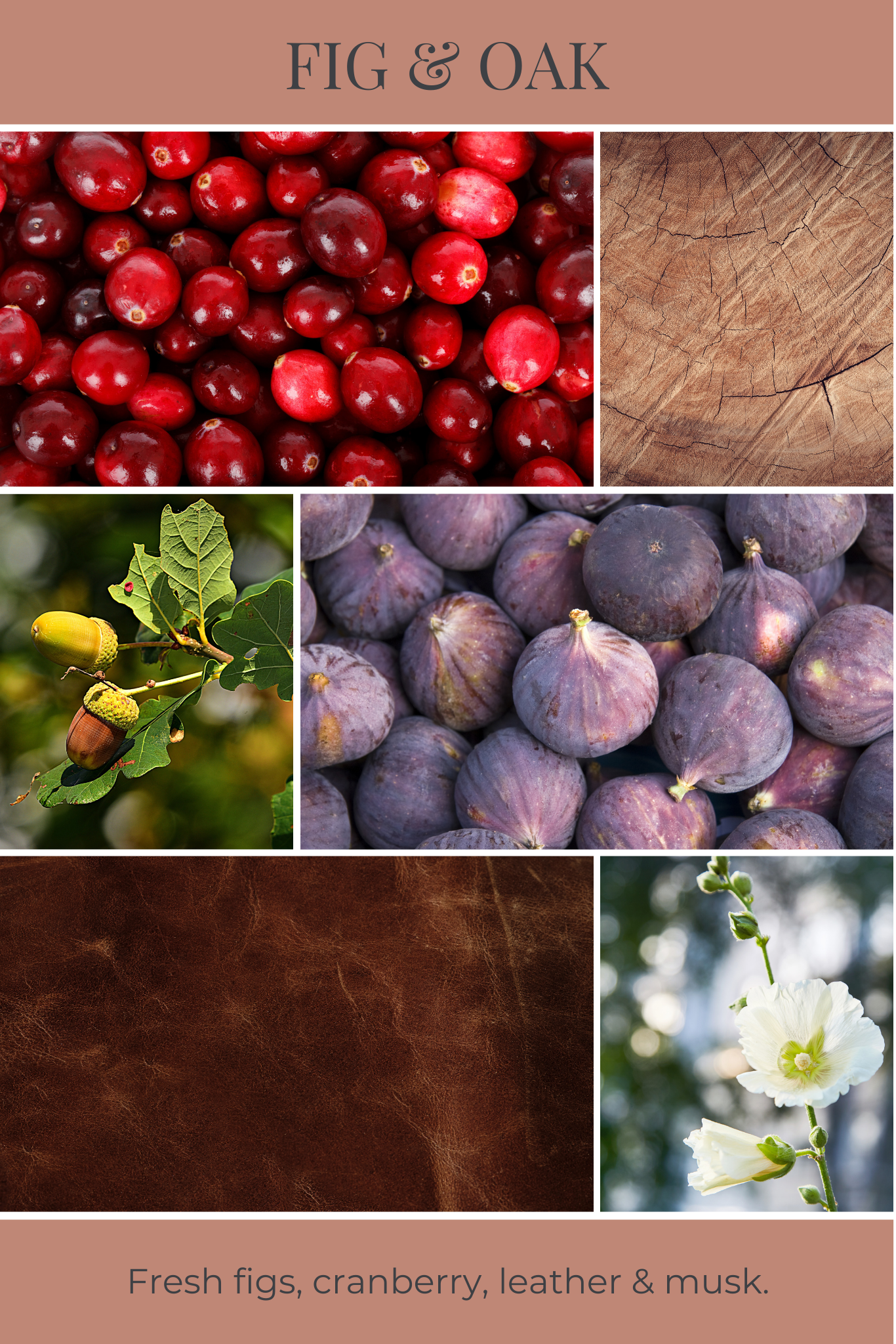 Eco Candle Company - Wholesale Reed Diffuser - reed diffuser FIG & OAK1