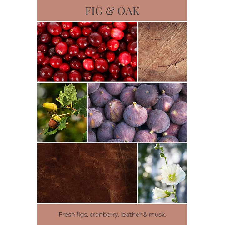 Eco Candle Company - Wholesale Jar/filled candle - 8oz mason FIG & OAK1