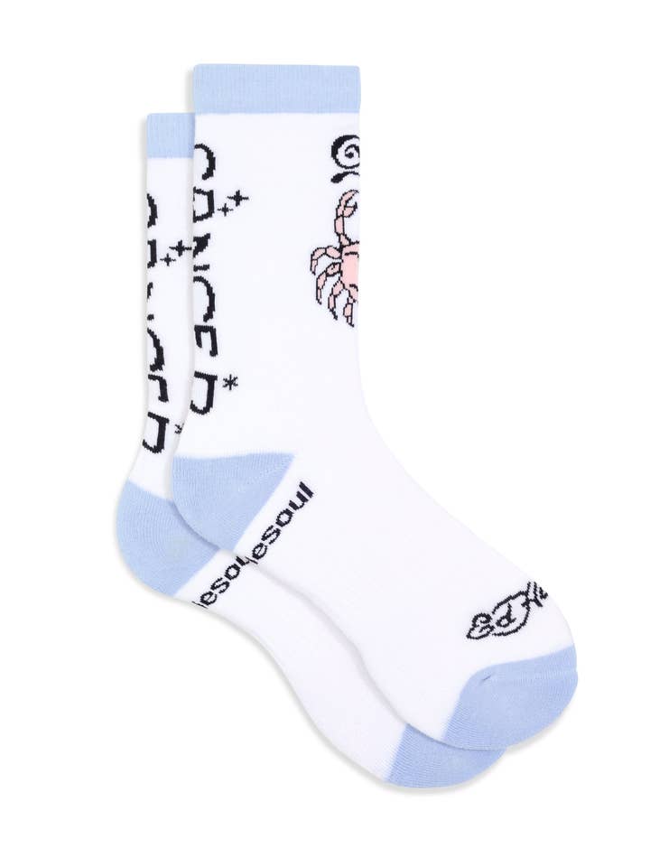 doublesoul - Vente Chaussettes – unisexe - Chaussette haute zodiaque Ed Hardy6