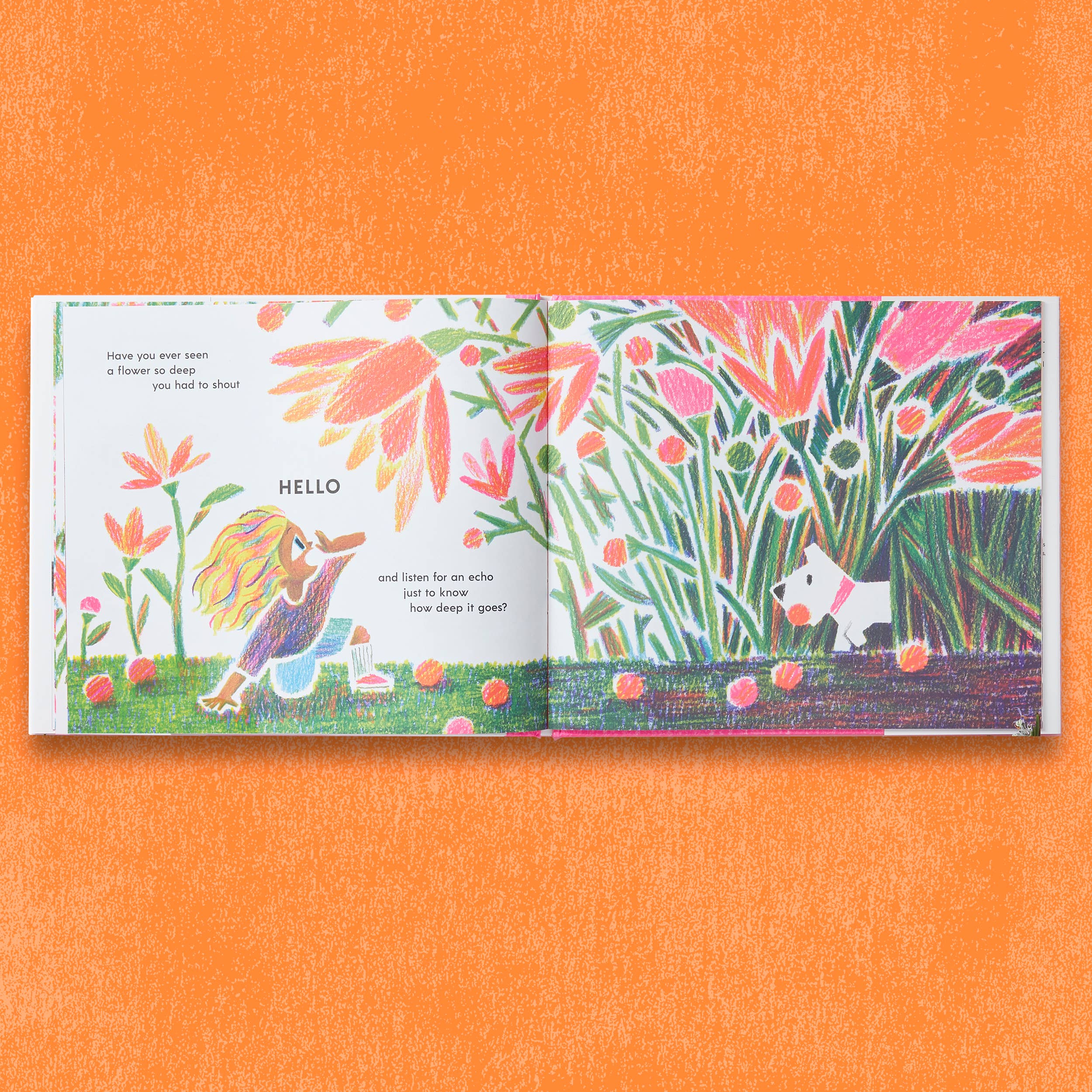 Chronicle Books - Wholesale Preschool Book (3-5) - Have You Ever Seen a Flower?12