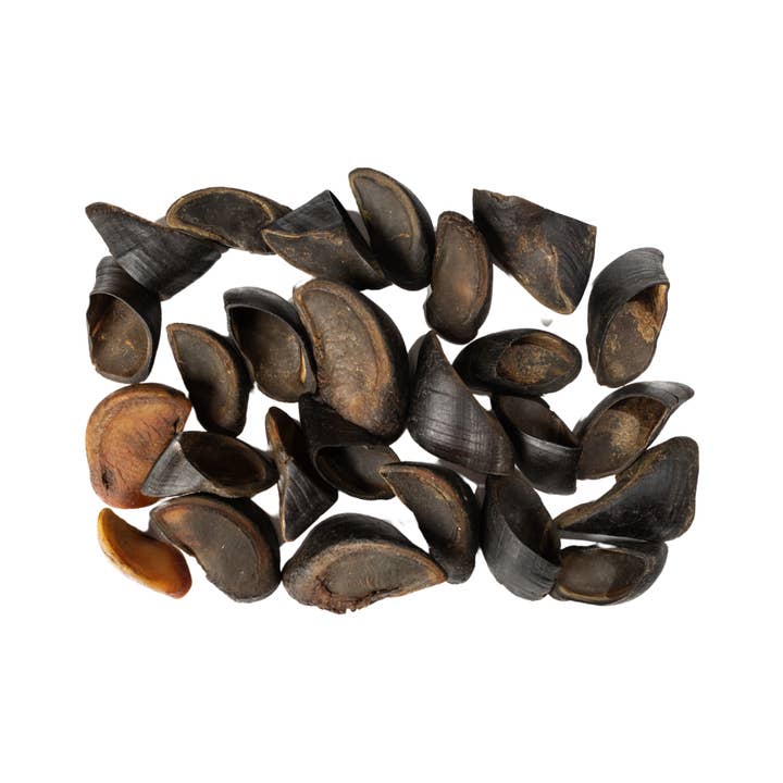 Sabots de vache à mâcher tout naturels premium pour chiens (25/sac) et autres tendances Résultats pour corne buffle en vente B2B. Retours gratuits et paiement à 60 jours sur Faire sur Faire.