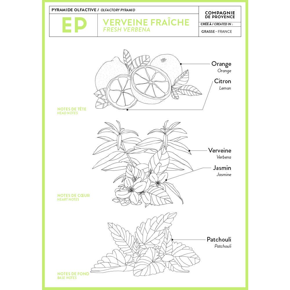 Cie Luxe Brands- Compagnie de Provence - Wholesale Hand Soap/Wash - Liquid Marseille Soap Fresh Verbena 16.7 fl oz Glass2