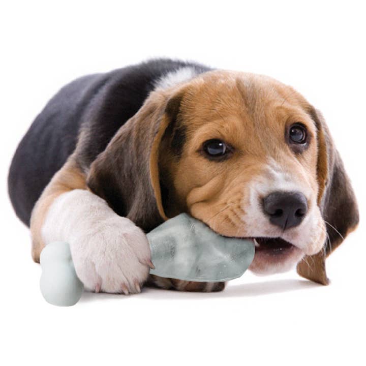 SUCK UK Ltd - USA - Wholesale Pet Treats - Dog - Pupsicle Ice Lolly Maker for Dogs