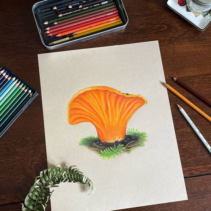 Sword Fern Studios - Wholesale Art Print - Lobster Lushroom Print, Mushroom Art1