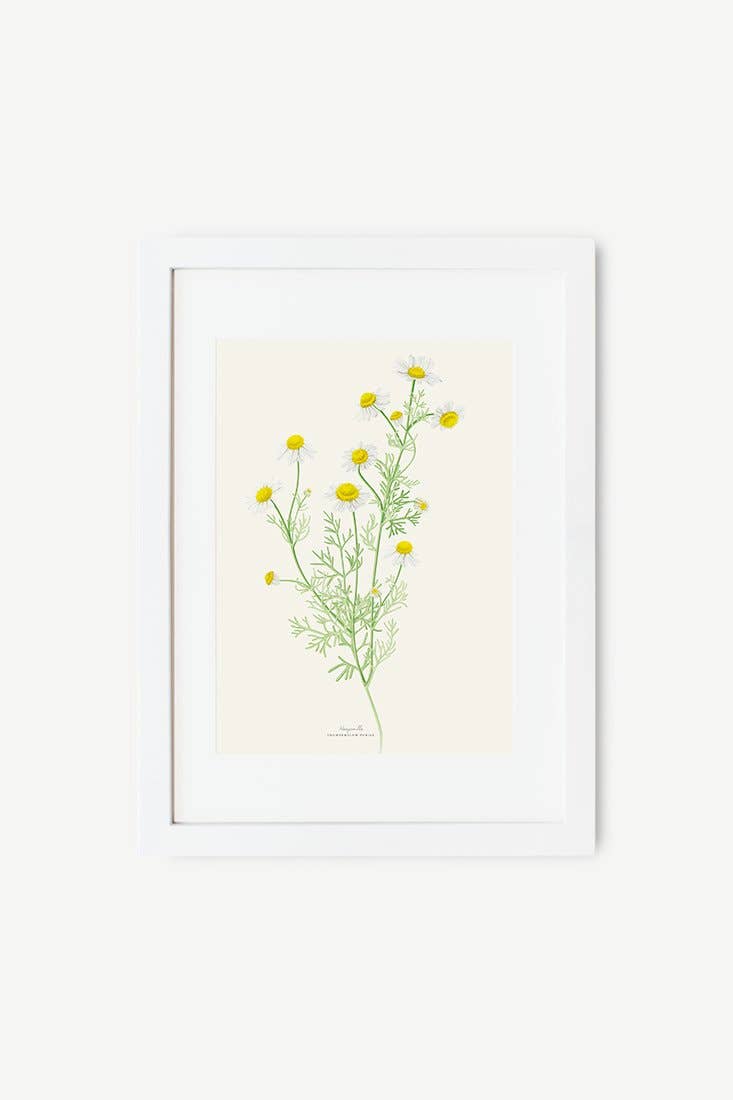 Save the date projects - Wholesale Art Print - MANZANILLA Decorative Film1