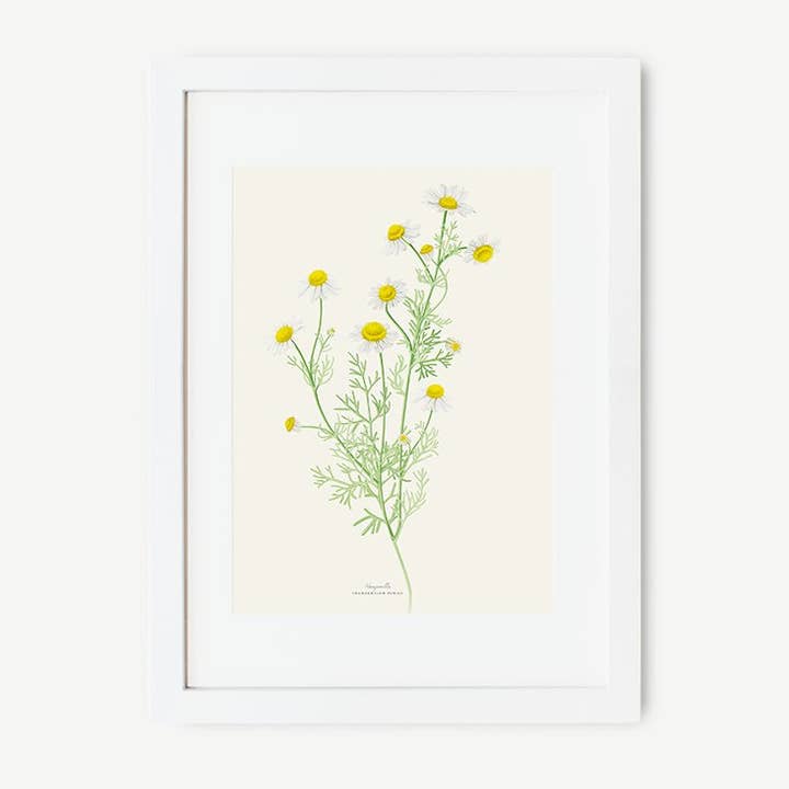 Save the date projects - Wholesale Art Print - MANZANILLA Decorative Film1