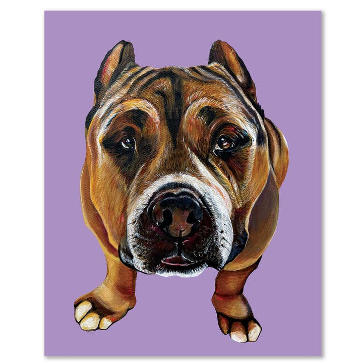 Pitbull Fine Art Print – Kukur for wholesale by Woollybear Travels