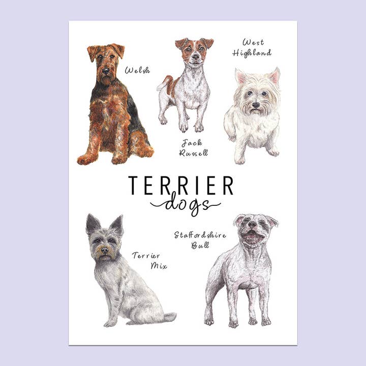 Terrier Dogs A5 Print for wholesale by Lucy Locks Art