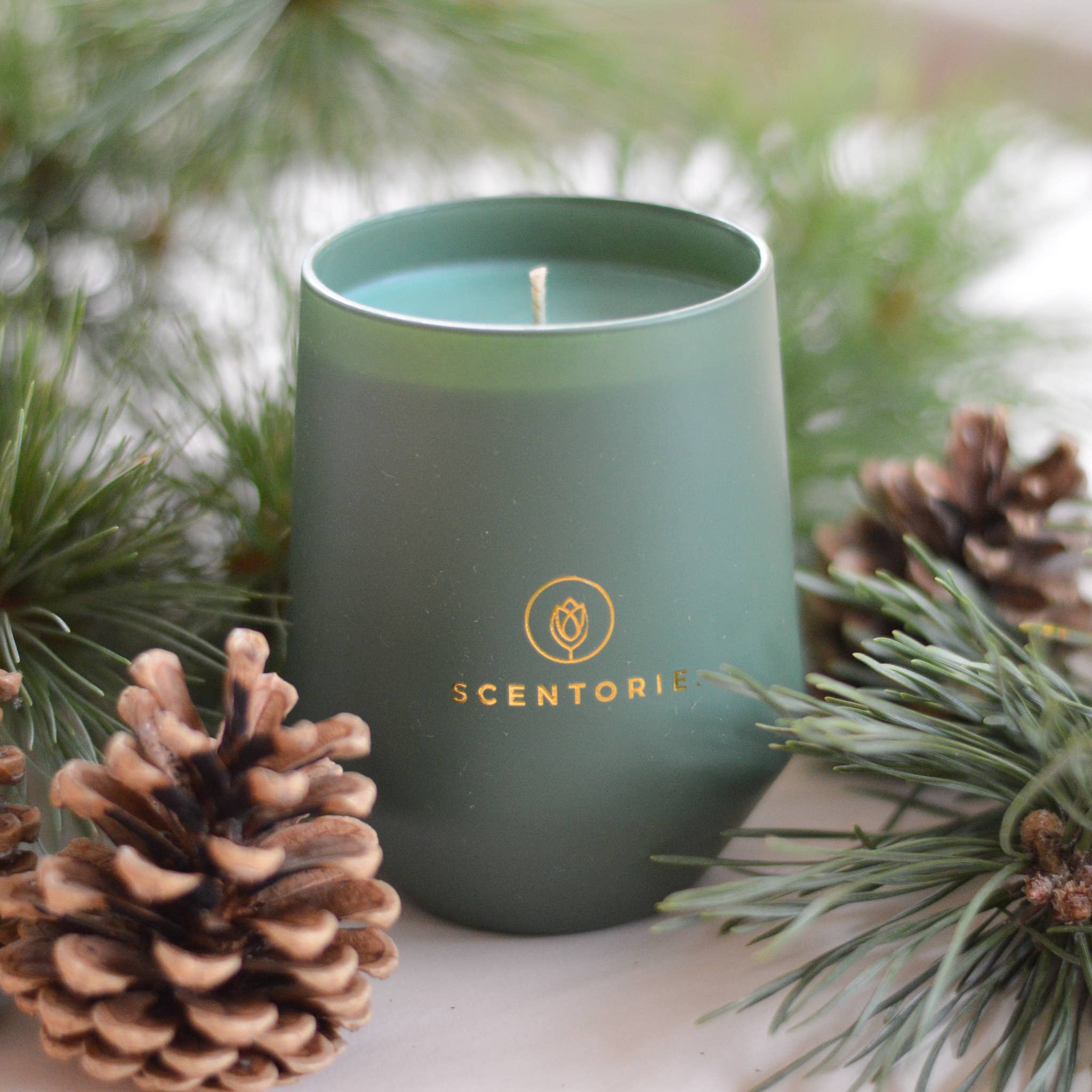 SCENTORIE. – Engroshandel Glaslys – WINTER WALK Duftlys med rapsvoks 300 g/60 timer5