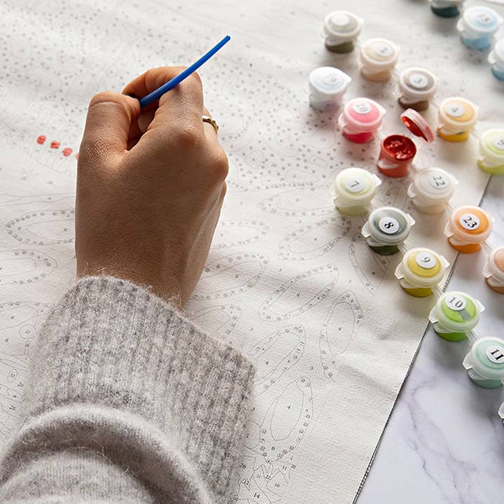 Journey Of Something AU & EU - Wholesale DIY craft kit - Paint by Numbers - Bowl of Oranges5