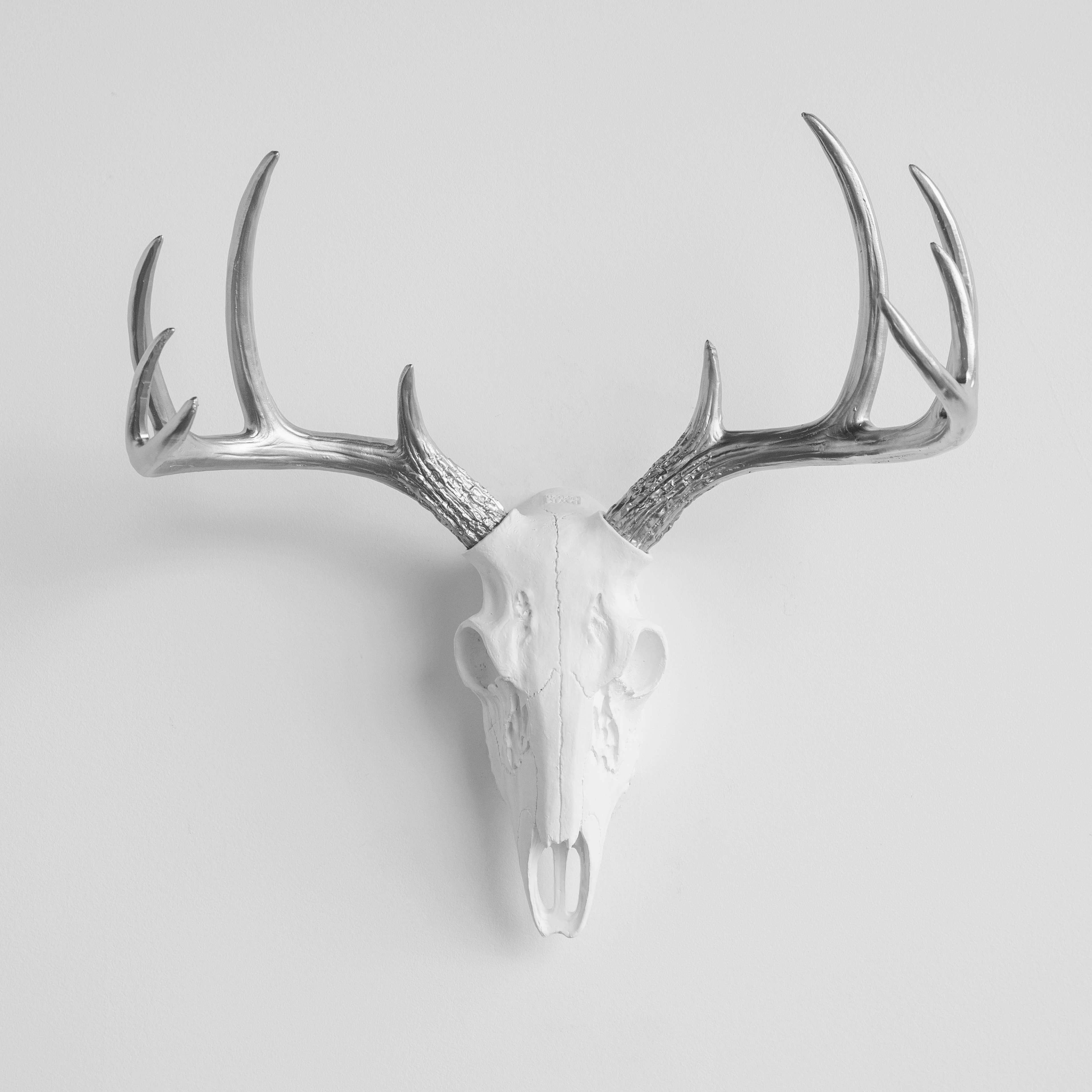 Near and Deer - Wholesale Dimensionele/3D-muurkunst - Faux Mini Buck Skull muursteun8